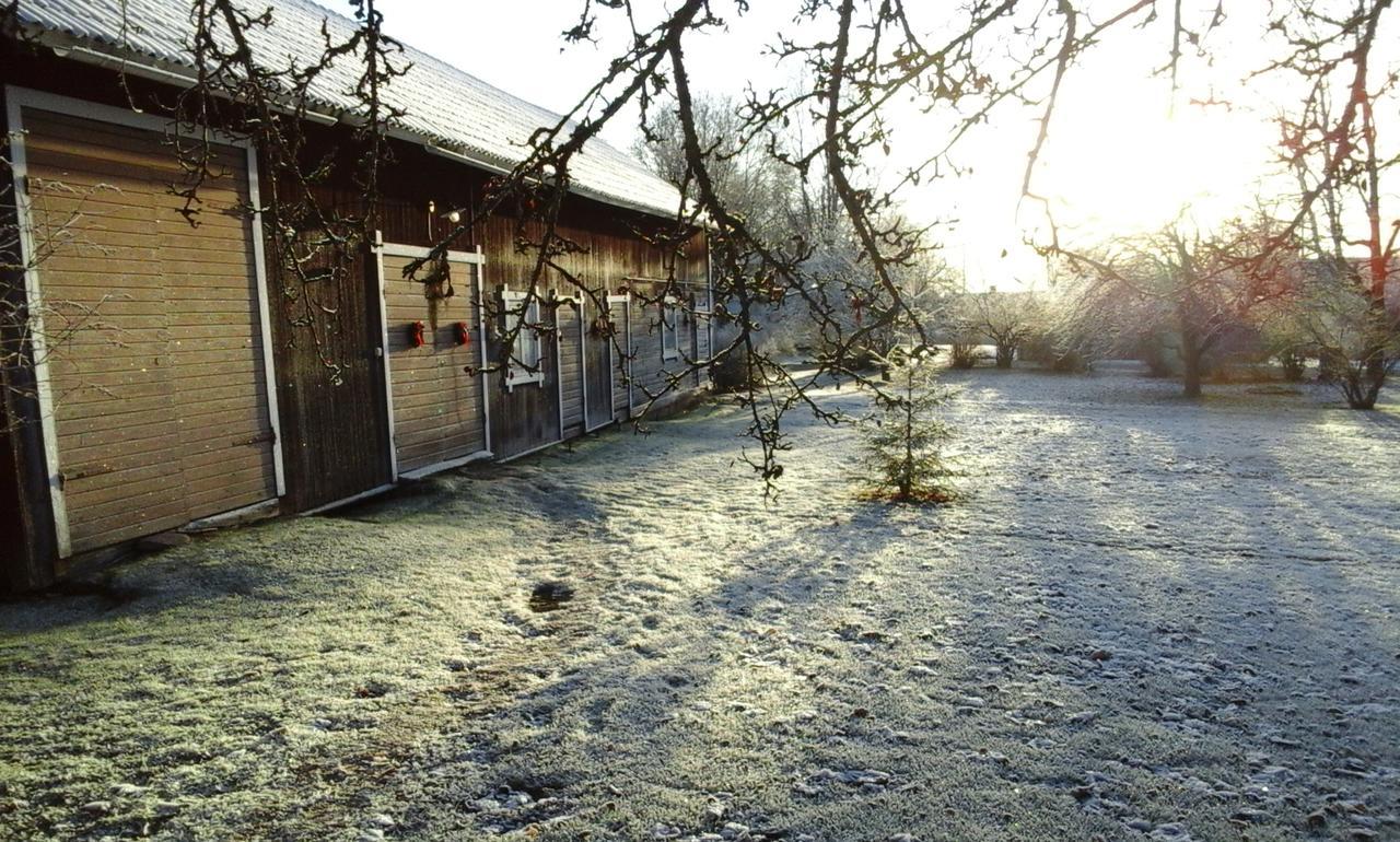 Draenggardens Stuga Pa Genuin Raettviksgard Boda  Luaran gambar